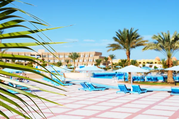 A fronde de palma e piscina no hotel de luxo, Hurghada, E — Fotografia de Stock