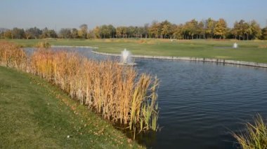 Mezhigirya, Ukrayna 'da golf sahası. Eski başkan Yanukovich 'in evi, şimdi halka açık.
