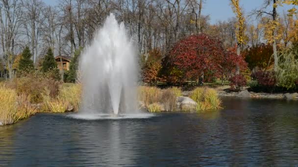 The fountain and pond in Mezhigirya, Ukraine. It is former residence of ex-president Yanukovich, now open to the public — Stock Video