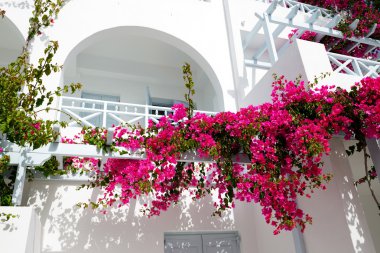 Otelin geleneksel Yunan tarzı, santorini Adası bina, 