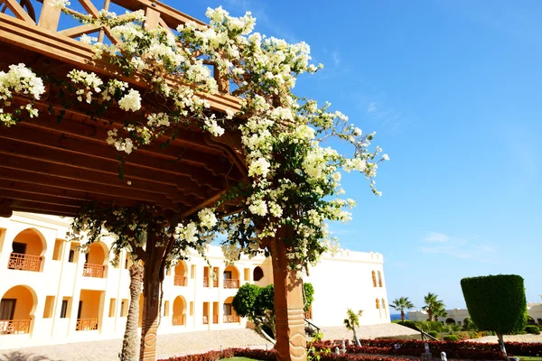 Die Blumendekoration im Luxushotel, Sharm el Sheikh, Ägypten — Stockfoto