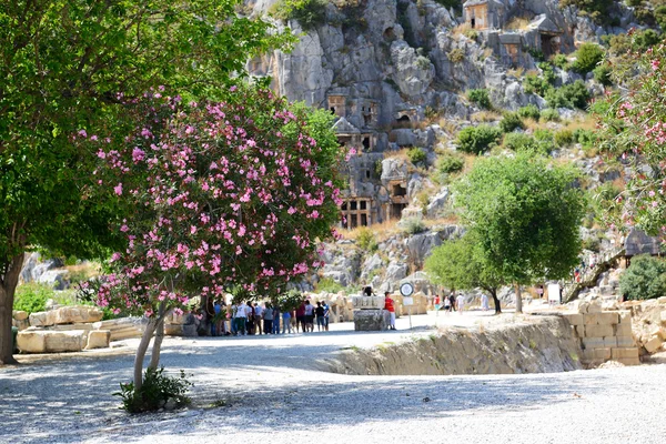 Os túmulos de corte de rocha em Myra e Bougainvillea árvore, Antalya, Turk — Fotografia de Stock