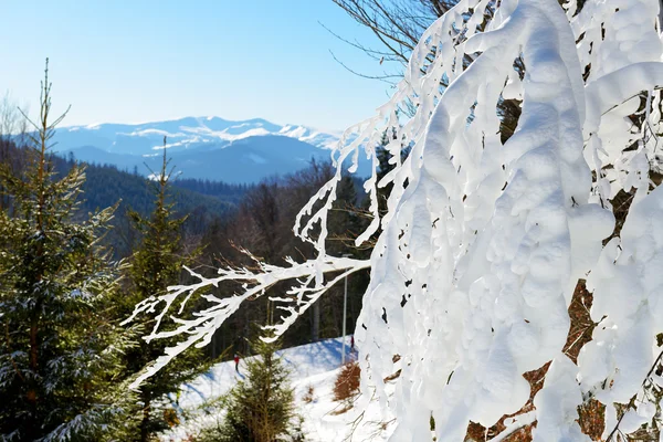 De weergave van een helling van Boekovel skiresort, Oekraïne — Stockfoto