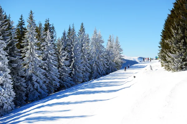 La pendiente de la estación de esquí de Bukovel, Ucrania —  Fotos de Stock