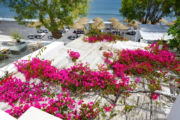 Bâtiment de l'hôtel décoré avec des fleurs de Bougainvilliers, Santorin — Photo