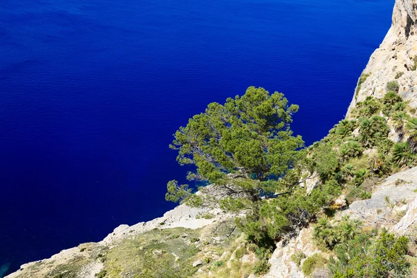 Мыс Форментор на острове Майорка, Испания — стоковое фото