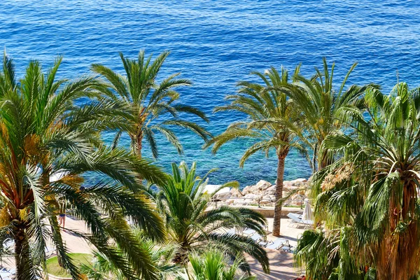 La spiaggia dell'hotel di lusso, Maiorca, Spagna — Foto Stock