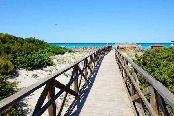 The way to a beach, Mallorca, Spain — Stock Photo, Image