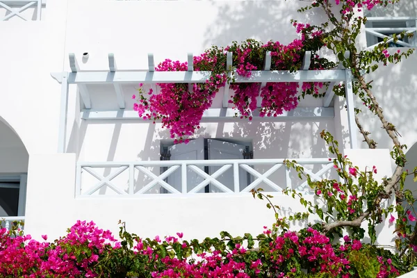 Building in traditional Greek style, Santorini island, Greece — Stock Photo, Image