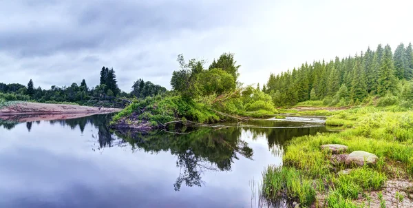 Río en el bosque en un día de verano . — Foto de Stock