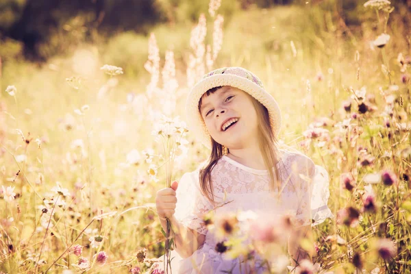 Dívka na louce v létě. — Stock fotografie