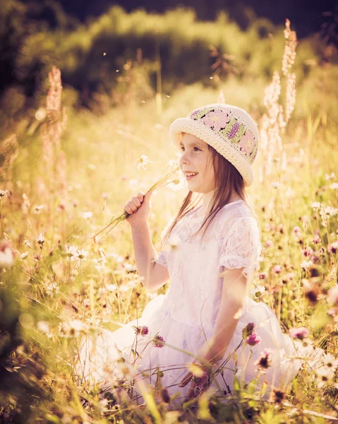 Menina em um prado no verão . — Fotografia de Stock