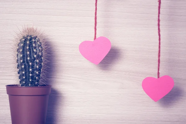 Rode harten met een cactus. — Stockfoto