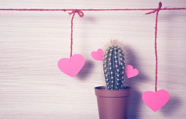 Cuori rossi con un cactus . — Foto Stock