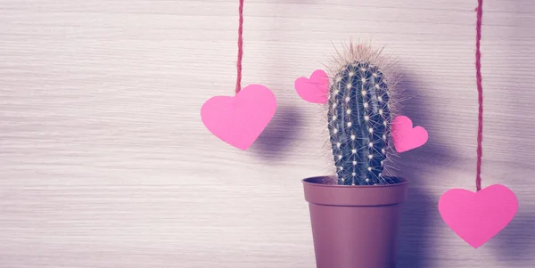 Cuori rossi con un cactus . — Foto Stock