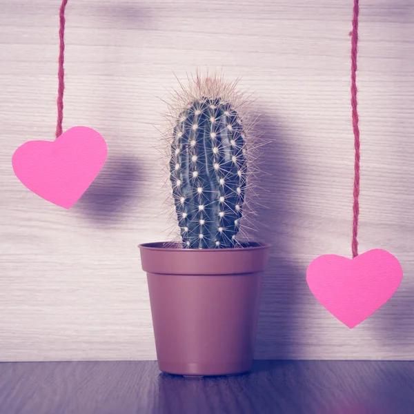 Corazones rojos con un cactus . —  Fotos de Stock