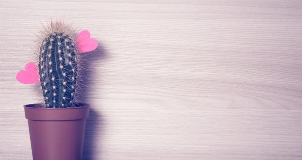 Rode harten met een cactus. — Stockfoto