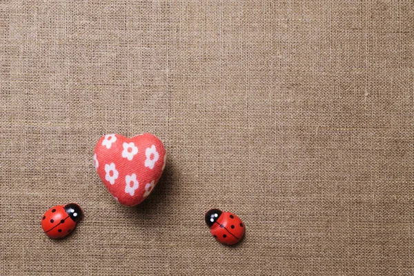 Corazón y mariquita en la tela . — Foto de Stock