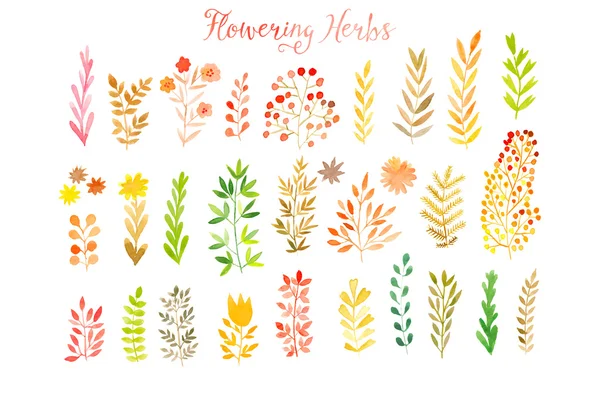 Set van kleurrijke herfstbladeren — Stockvector