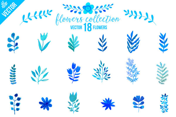 Colorful flowers set