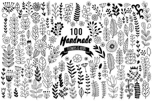 цветы и листья элементы набора
