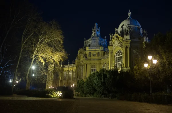 Noite Budapeste arquitetura — Fotografia de Stock