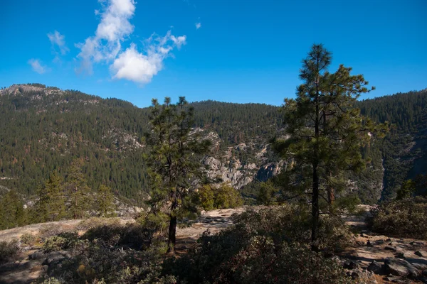 Yosemite Valley View — Stock fotografie