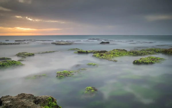 Deniz plaj kayalar ile — Stok fotoğraf