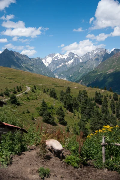 Hiking in mountain — Stock Photo, Image