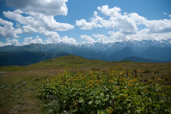 Hiking in mountain — Stock Photo, Image