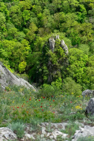 Trekking Para Deporte Salud Las Montañas Georgia —  Fotos de Stock