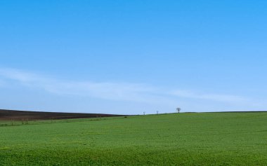 Temiz doğa ve sessizlikten oluşan yeşil Gürcistan topraklarında yürüyüş.