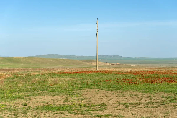 Beautiful Nature Georgia Khahetia Travel Fields — Stock Photo, Image