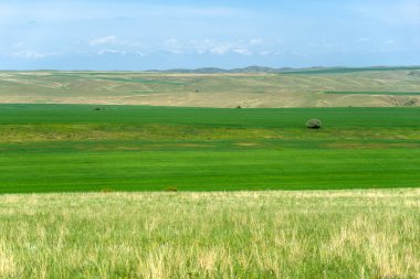 Gürcistan 'da çevre turizmi