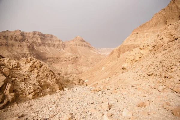 Montagne in pietra deserto nead Mar Morto — Foto Stock