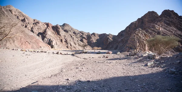 이스라엘에서 돌 사막 — 스톡 사진