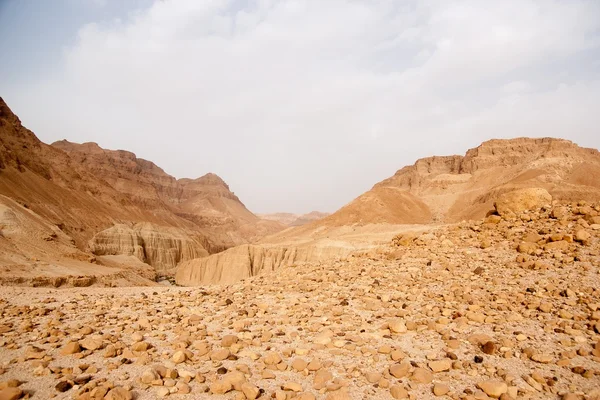 Sten öken i israel — Stockfoto