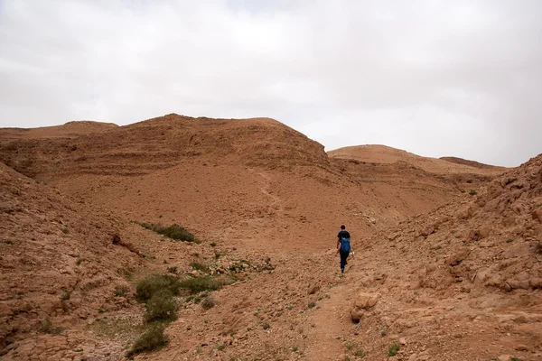 Desert Canyon em Israel Atração de viagem do Mar Morto para turistas — Fotografia de Stock