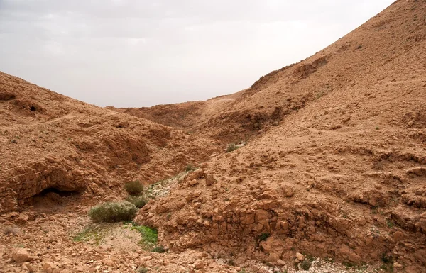 Desert Canyon in Israel Dead Sea travel attraction for tourists — Stock Photo, Image