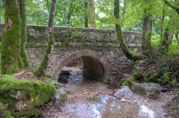 France Savoie promenades en forêt — Photo