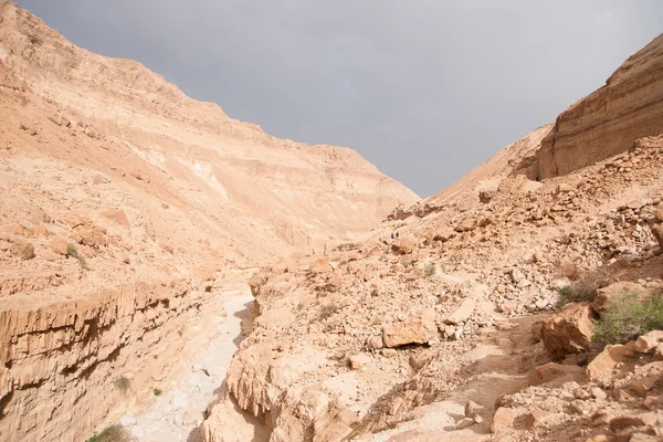 Hiking in stone desert middle east adventure — Stock Photo, Image