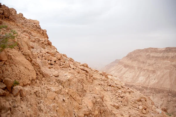 Senderismo en piedra desierto aventura Oriente Medio — Foto de Stock