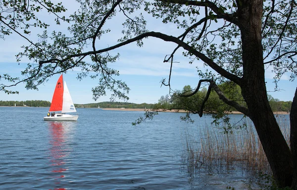 Lituania lago — Foto Stock