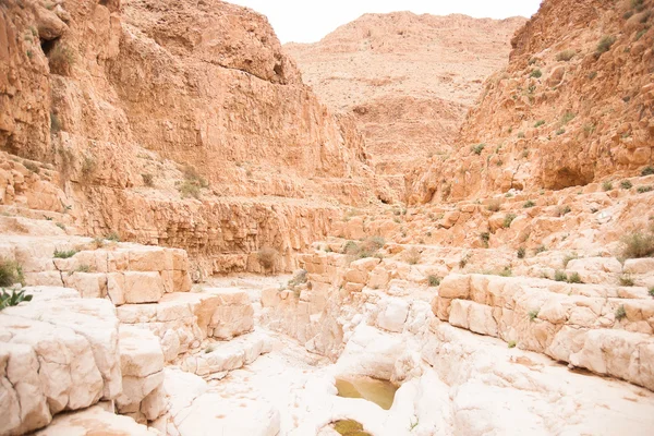 Dobrodružné cestování v kamenné pouště Blízkého východu中東の石の砂漠での冒険旅行 — ストック写真