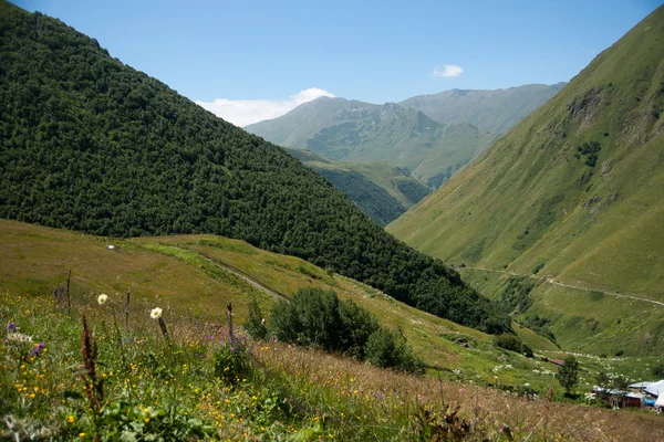 Piesze wycieczki w góry Gruzji — Zdjęcie stockowe