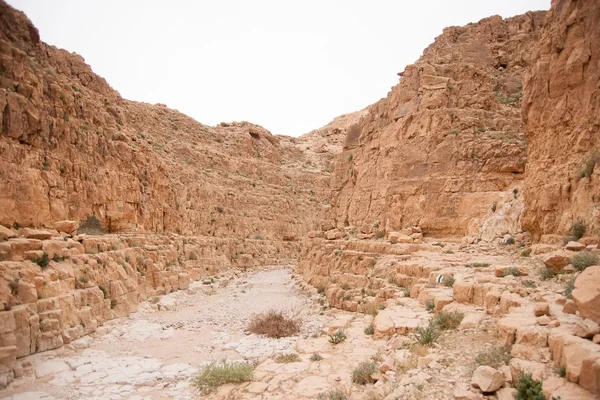 Ryzykowne przedsięwzięcie Podróżować w kamiennej pustyni z Bliskiego Wschodu — Zdjęcie stockowe