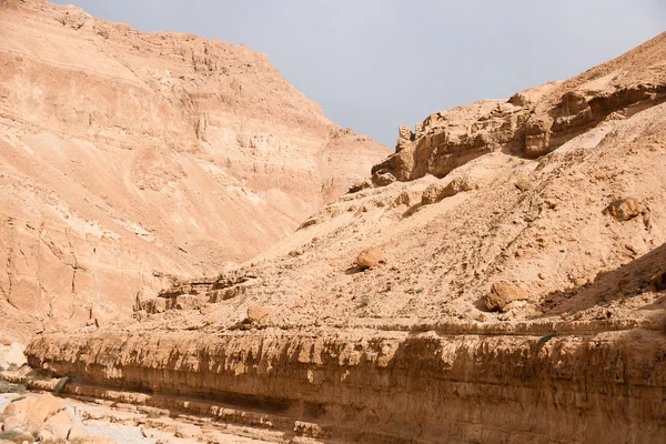 Hiking in stone desert of Israel vacation — Stock Photo, Image