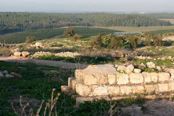 Historiske ruiner i Israel - Stock-foto