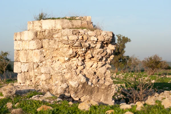 Historical ruins in Israel — Stock Photo, Image