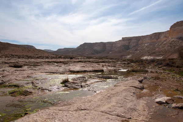 Manantial de agua en un desierto —  Fotos de Stock